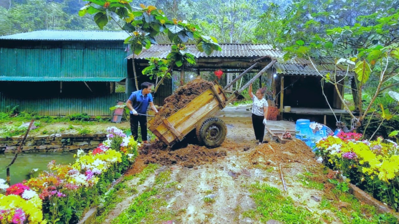 BINH & NGOC are working together to transport soil for planting flowers at the entrance to the farm.