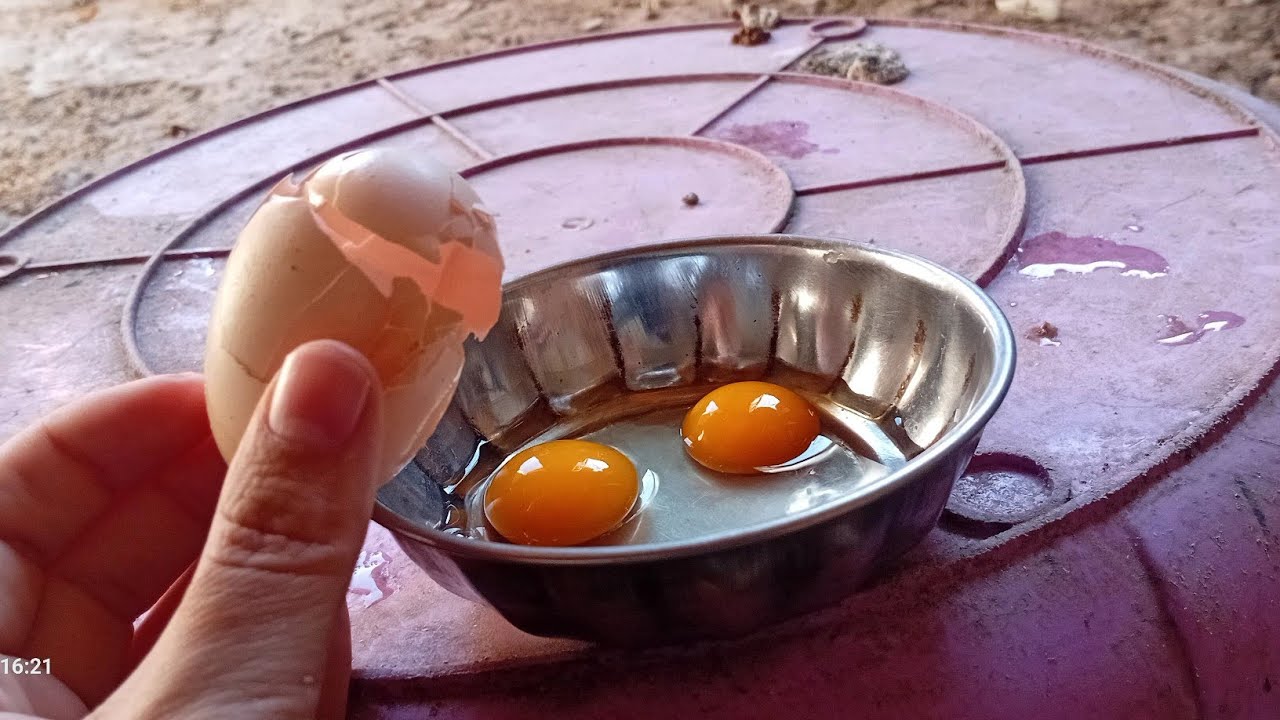 زيادة رهيبة ف انتاج البيض بمعلقة واحدة بث