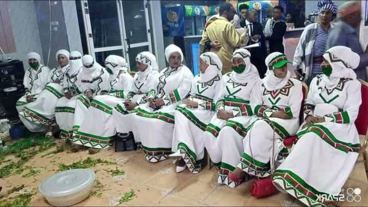 Language plays a big role in preserving history, oral traditions, and cultural values.#wolane #ወለንኛ 