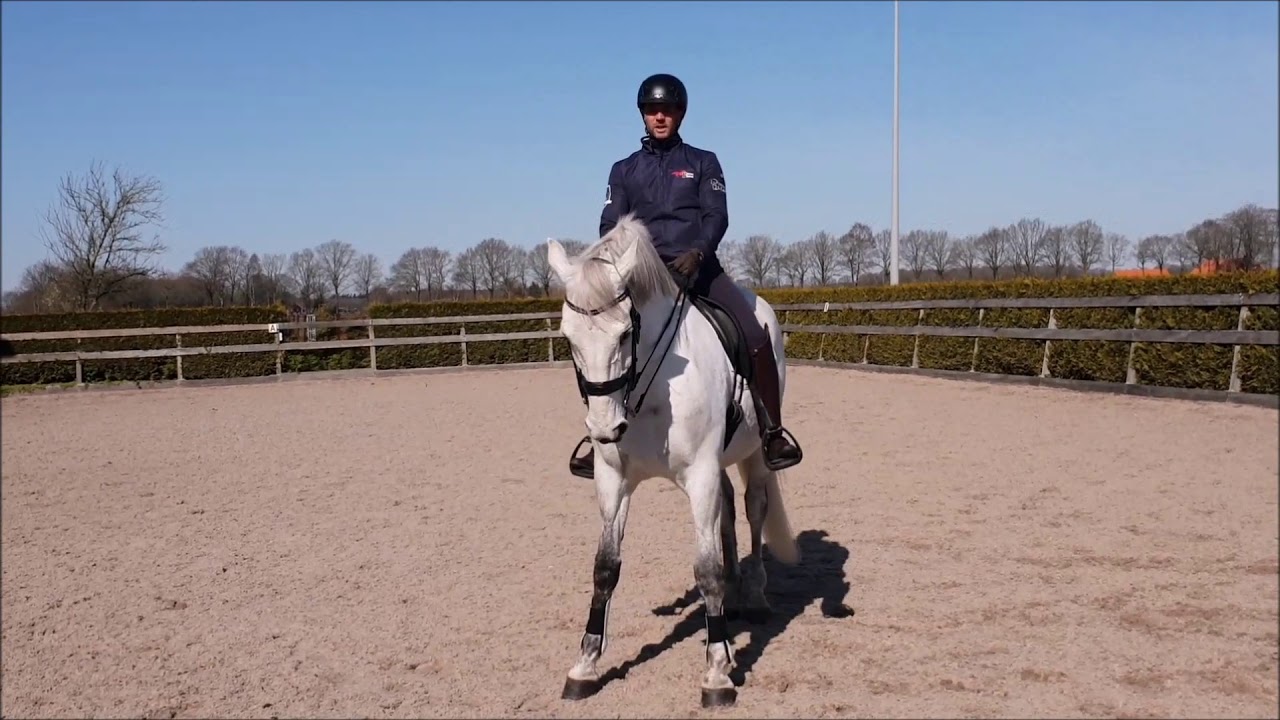 Dressage2Learn cursus Rijbaanfiguren en Wijken_TRAILER