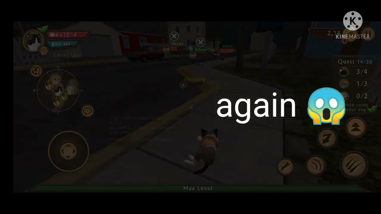 someone is hack our server /Cat sim (online)