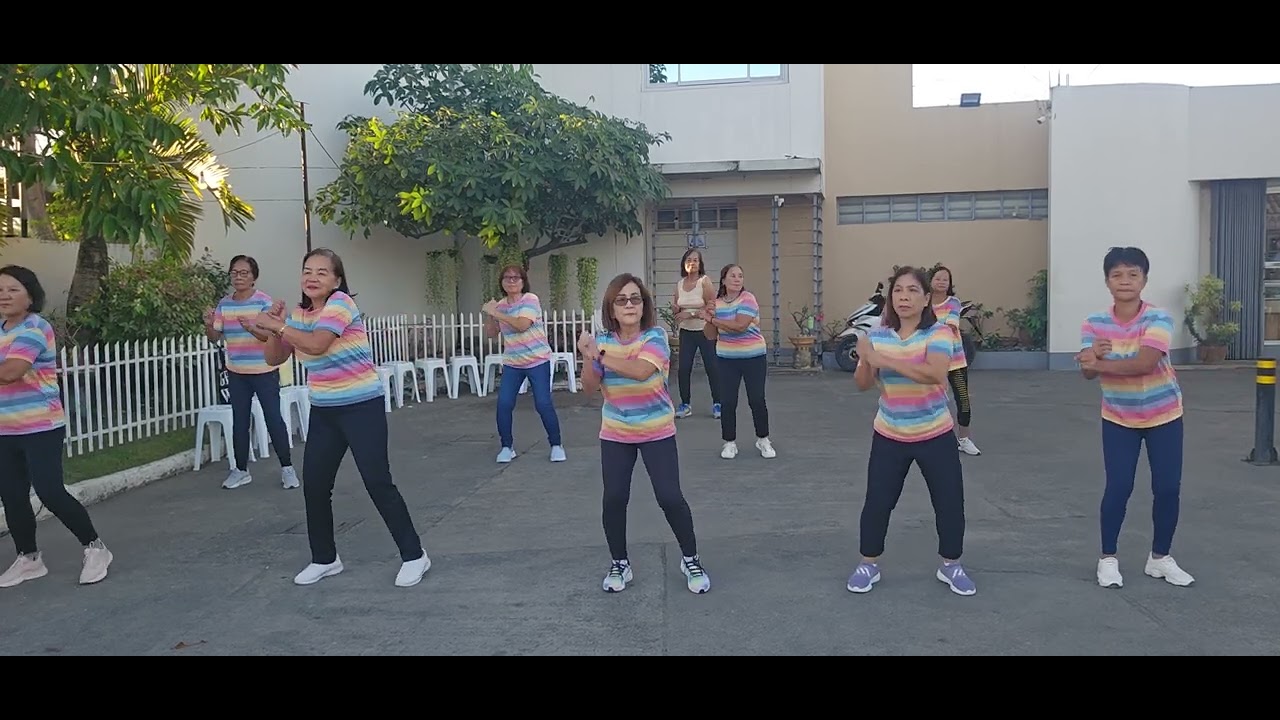 Malasin zumba ladies