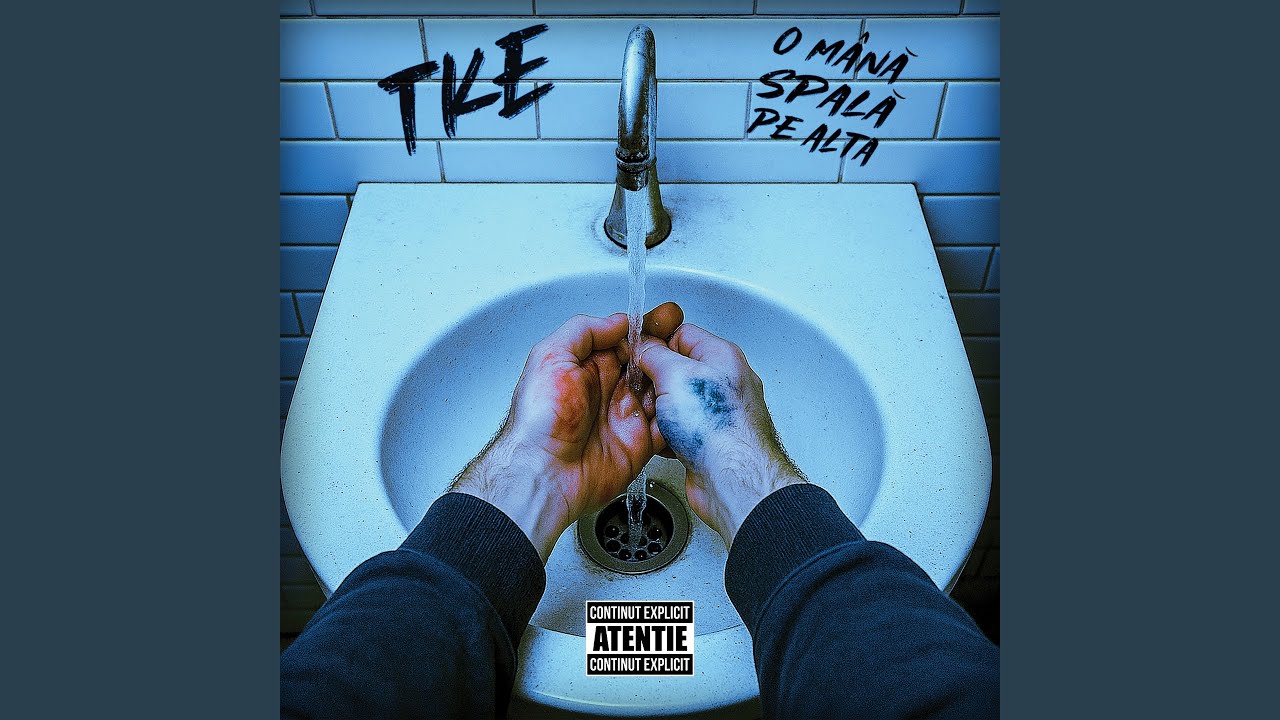 Joc de zar (feat. David Skunk, ANTO)