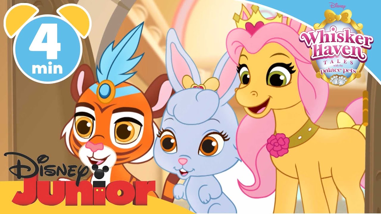 Whisker Haven Tales | Where's Taj? | @disneykids