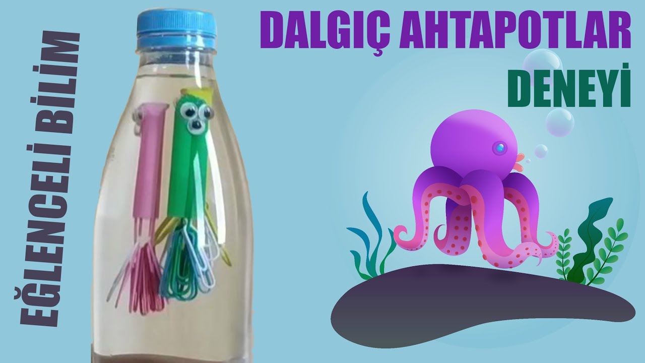 Bilim Gen&ccedil; Tubitak Deneyleri: Dalgı&ccedil; Ahtapotlar Deneyi, Kartezyen Dalgı&ccedil; Deneyi