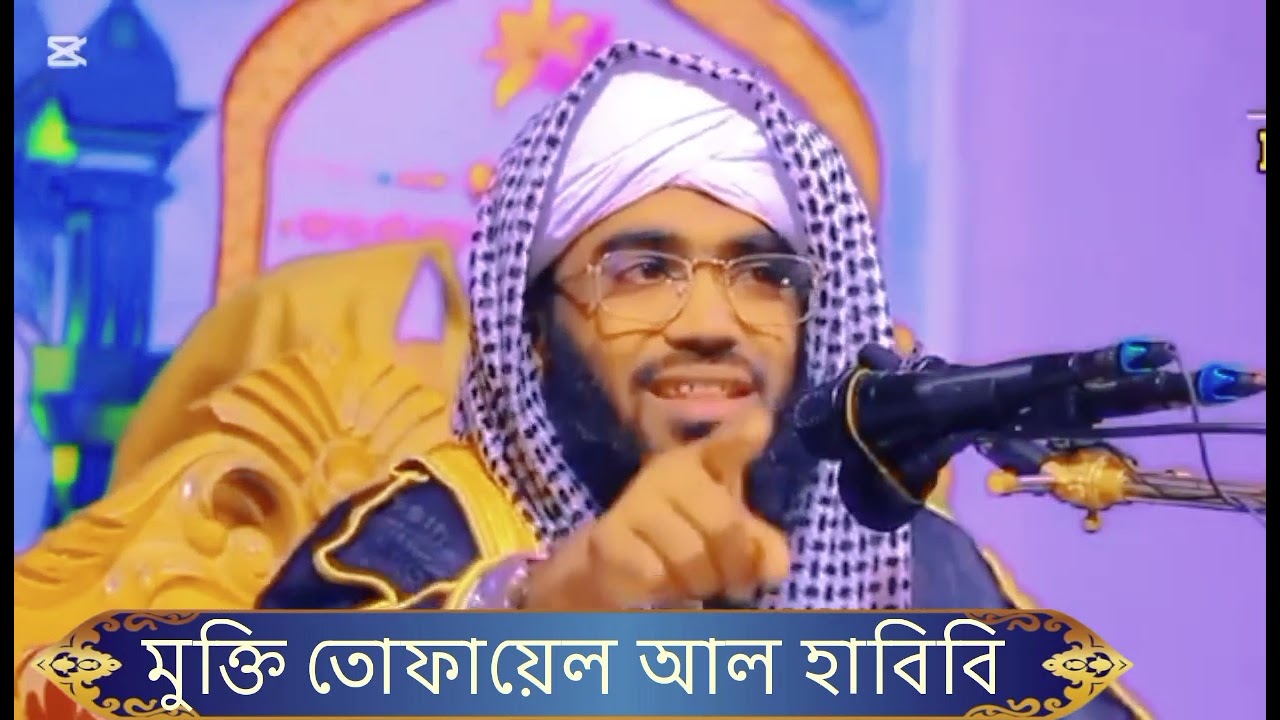 মুক্তি তোফায়েল আল হাবিবি হাবিব ভাইকে আপনারা অনেক শ্রদ্ধা করবেন অনেক, 🎤🎤🎤🌼🤲🤲🤲