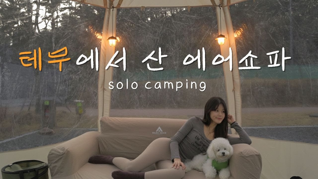 테무 캠핑용품 들고 나홀로 솔로캠핑 🏕️ | 이 에어쇼파 진짜 끝내줌...🤤 | 캠린이 가성비 캠핑장비 | 테무깡 | 하기숲캠핑장  | 애견동반캠핑