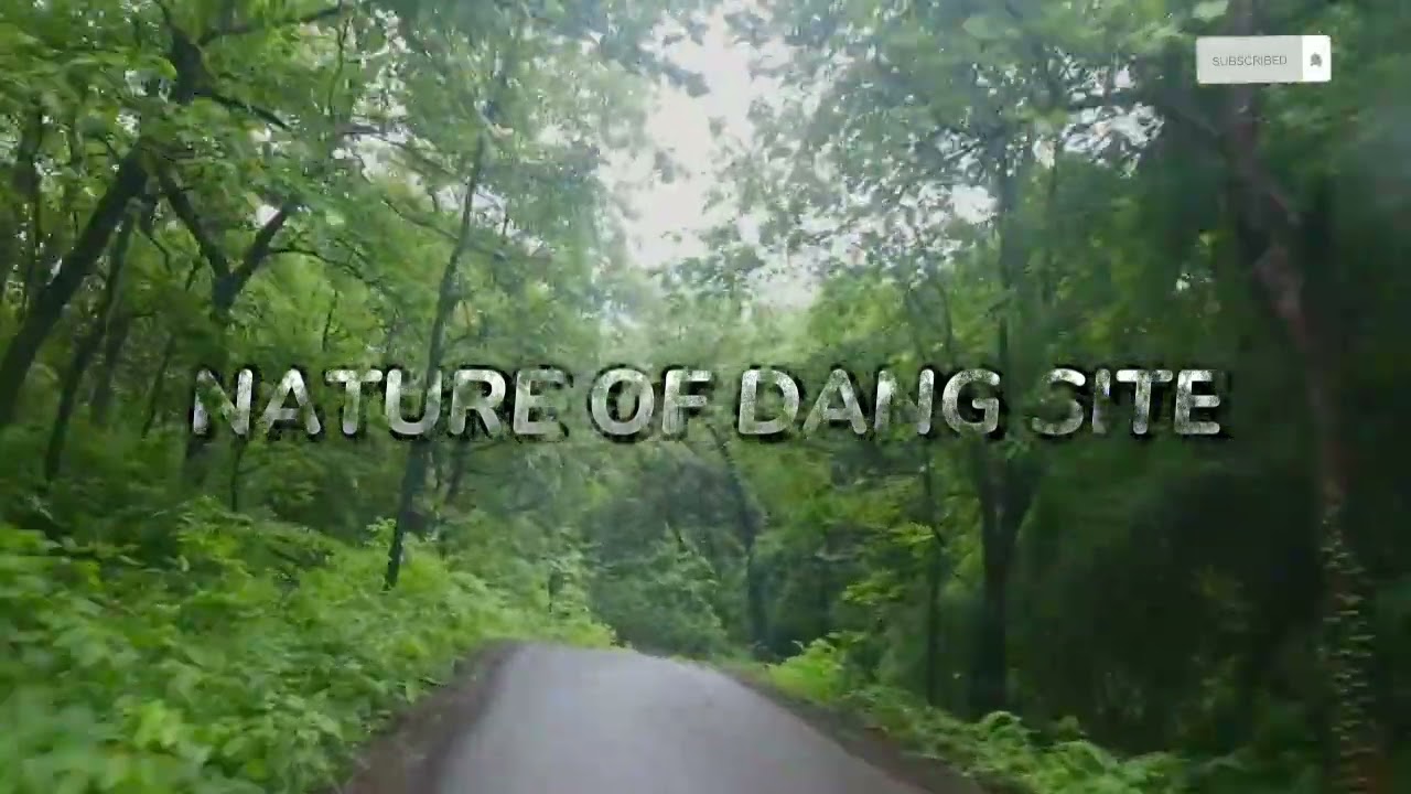 NATURE OF DANG FOREST 