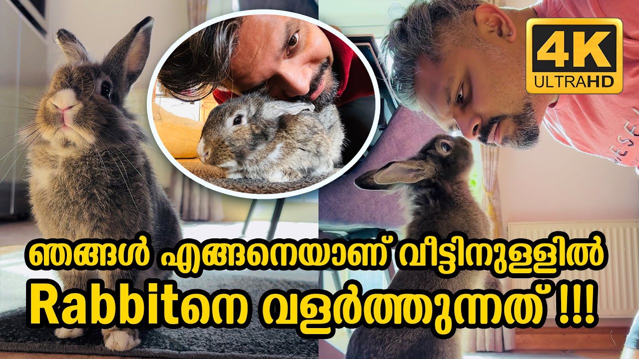 MEET OUR RABBIT RACY'S INDOOR HOME AND PLAY AREA SETUP IN OUR HOUSE | IRELAND | Vlog #669