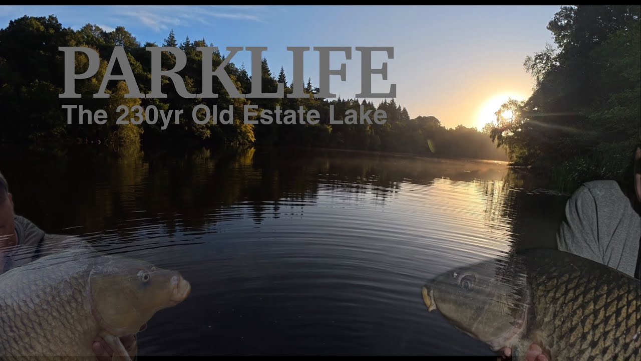37. Carp Fishing | The 140 Acre Park Lake Campaign | Autumns Coming