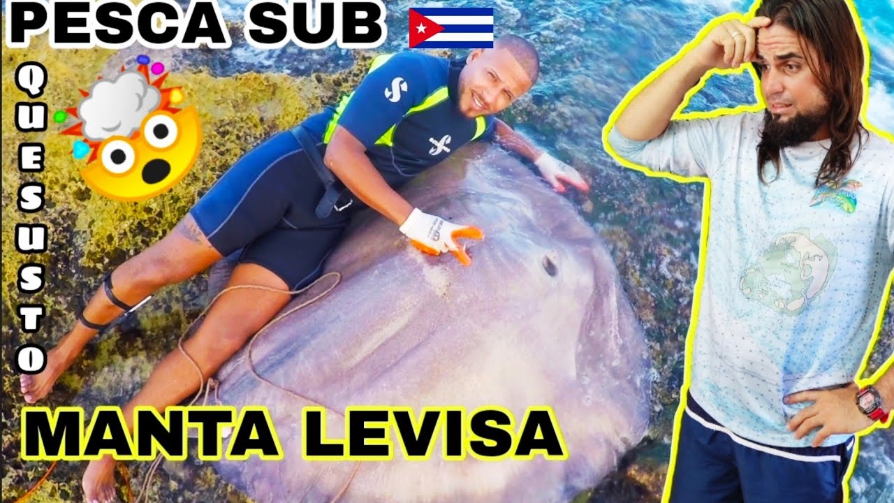 🤯*MANTA LEVISA... Bahía de Matanzas Cuba 🇨🇺, Pesca Submarina