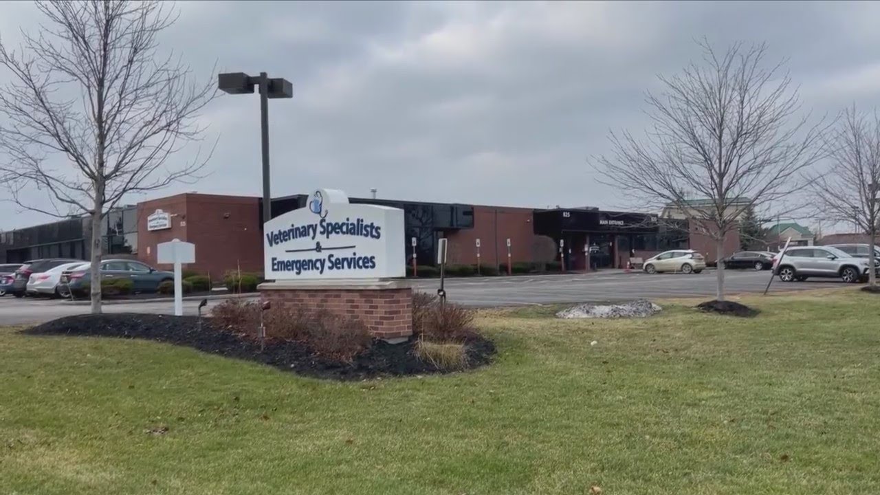 Will Rochester&rsquo;s emergency animal hospital return to 24 hour service?