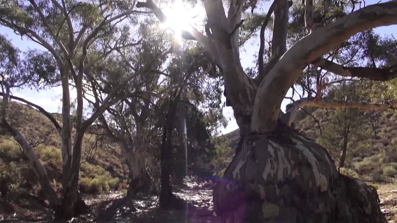THE BENDLEBY RANGES ATTRACTIONS AND ACCOMMODATION short film