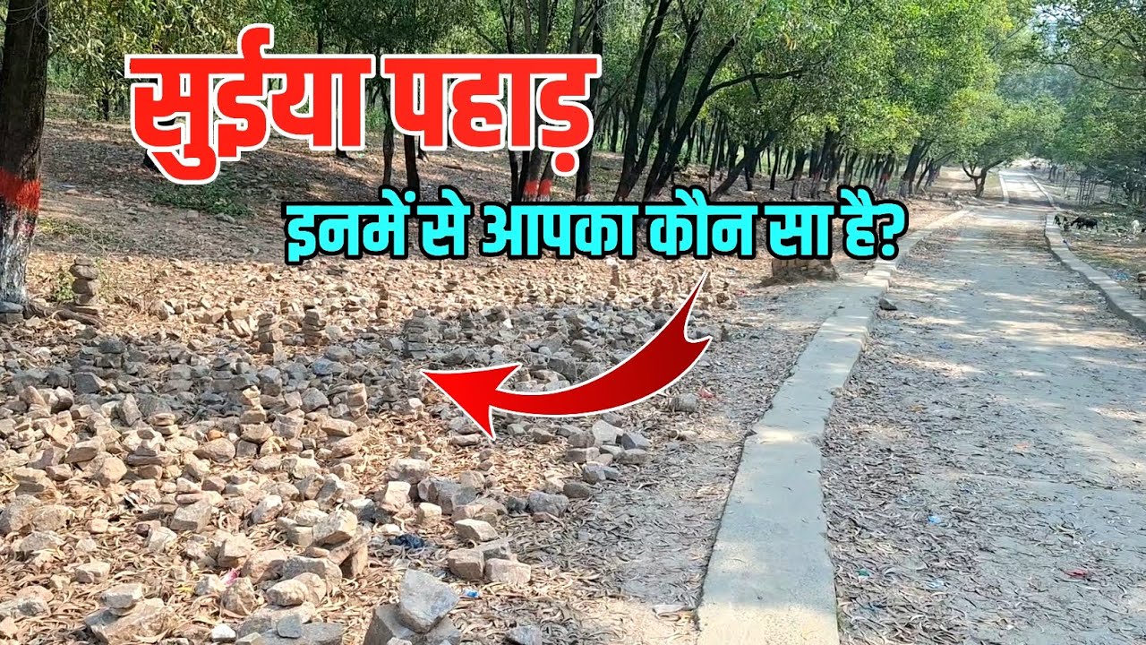 Suiya Pahad New Update | सुईया पहाड़ का नया वीडियो | Sultanganj To Deoghar Kawad Yatra New Update 