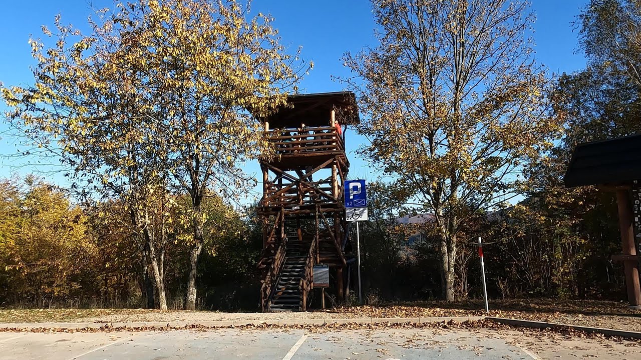 Wieża Widokowa Szczerban&oacute;wka / Żubracze / Okiem Turysty