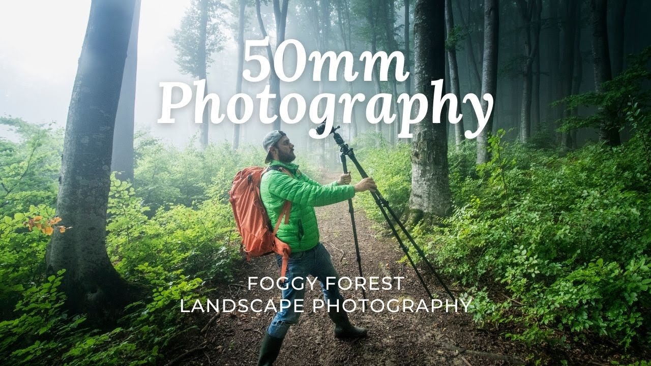 Landscape Photography: Foggy Forest with the 50mm F1.4 Lens Challenge