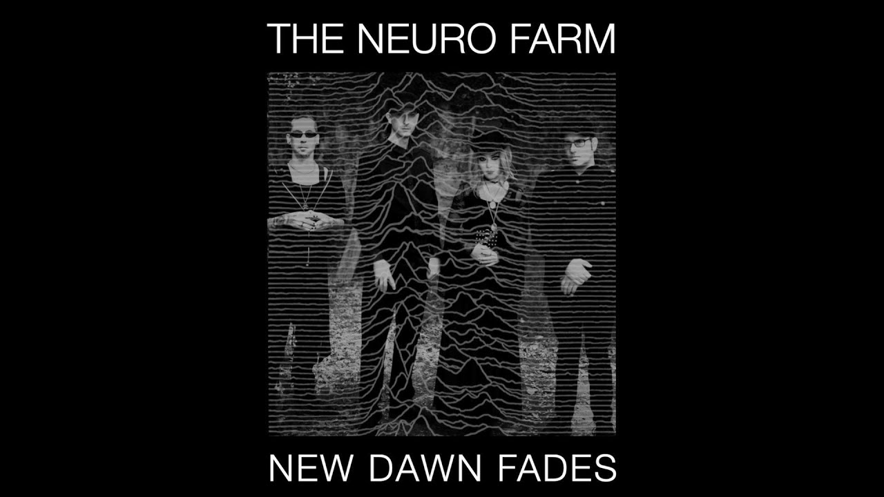 The Neuro Farm - New Dawn Fades (Joy Division cover)