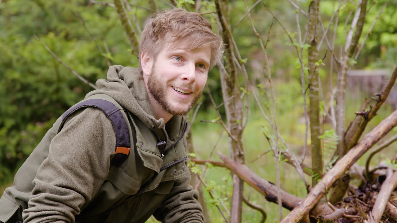 National Park Drents-Friese Wold - Wilde robuuste natuur