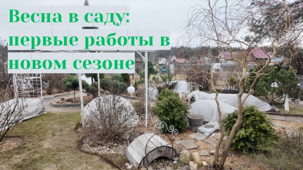 Весна в саду: первые работы в новом сезоне