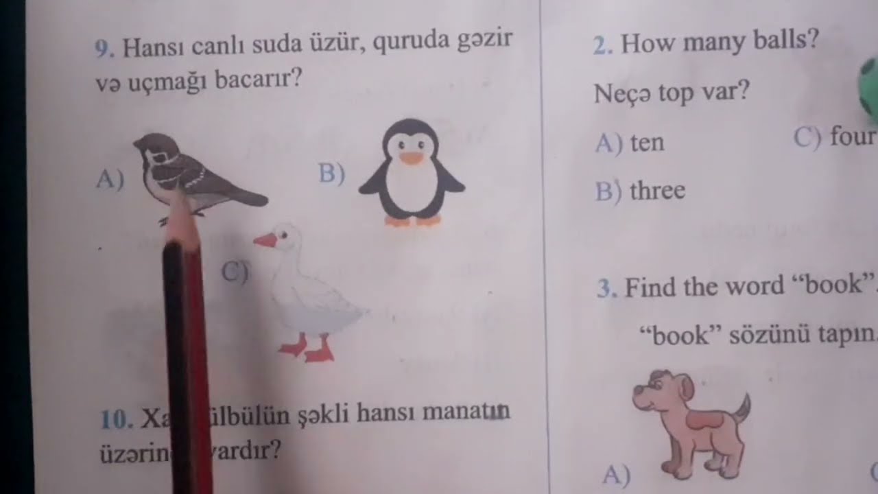 1-ci sinif sınaq imtahanı 2022 📖 40 sual,5 fənn 13 dəqiqədə,asan izahla həll etdik