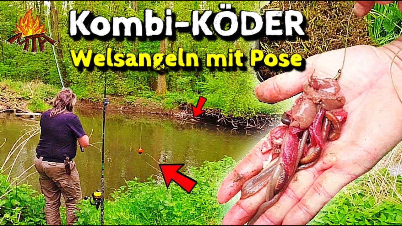 Wallerangeln mit Kombiköder | Sind Gänse-Innereien gut?🤔