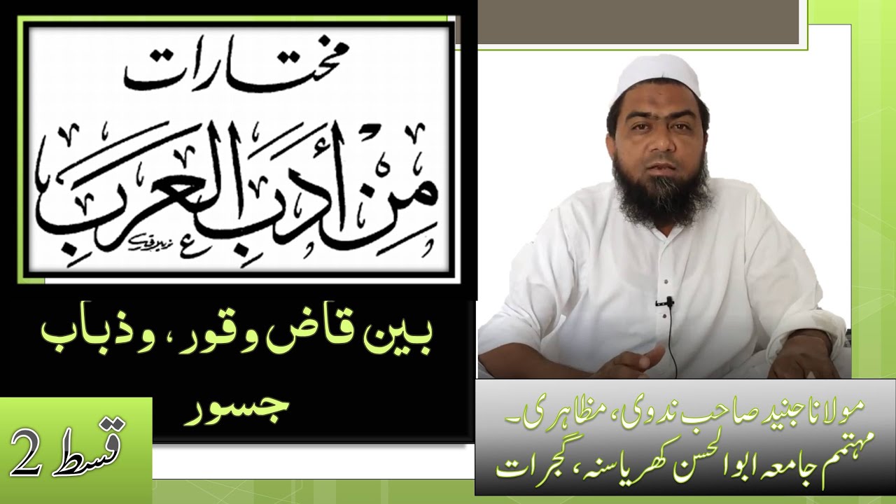بین قاض وقور، وذباب جسور Mukhtarat Min Adabil Arab(Lecture 35)||مختارات من أدب العرب (درس 35
