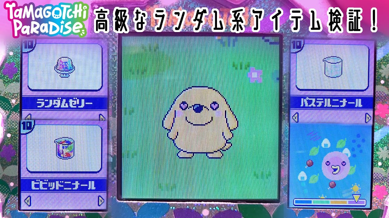 【たまごっち パラダイス】破産確定！高級なランダム系のアイテムの検証！【Tamagotchi Paradise】