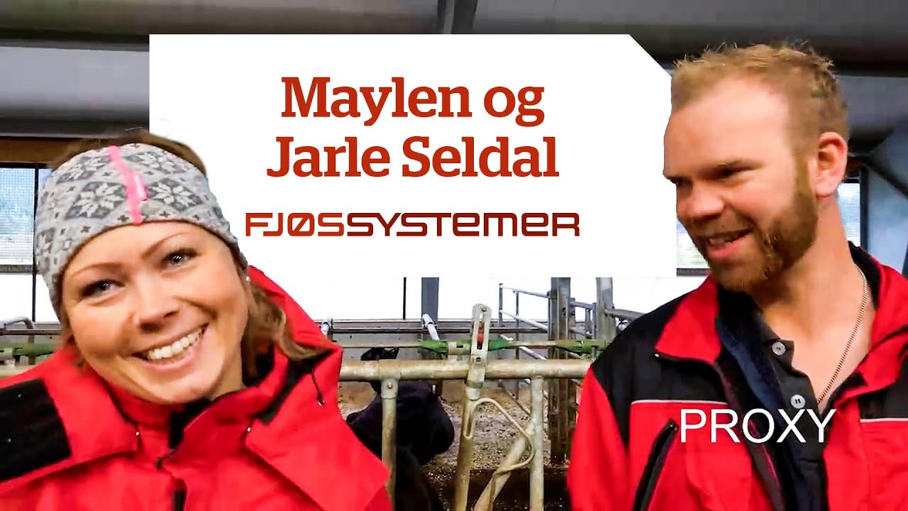 Melkekufjøs på Jæren