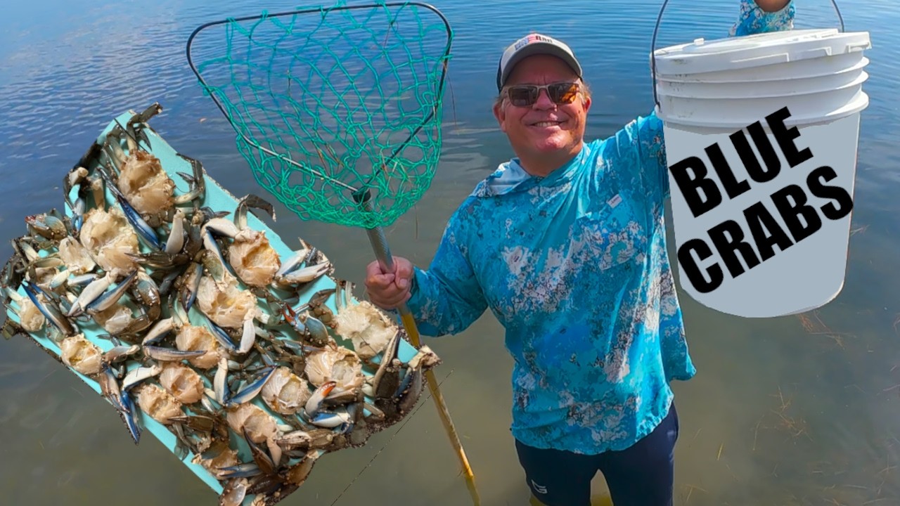 Florida Grass Flats LOADED With Blue Crabs! (Catch & Cook Adventure)
