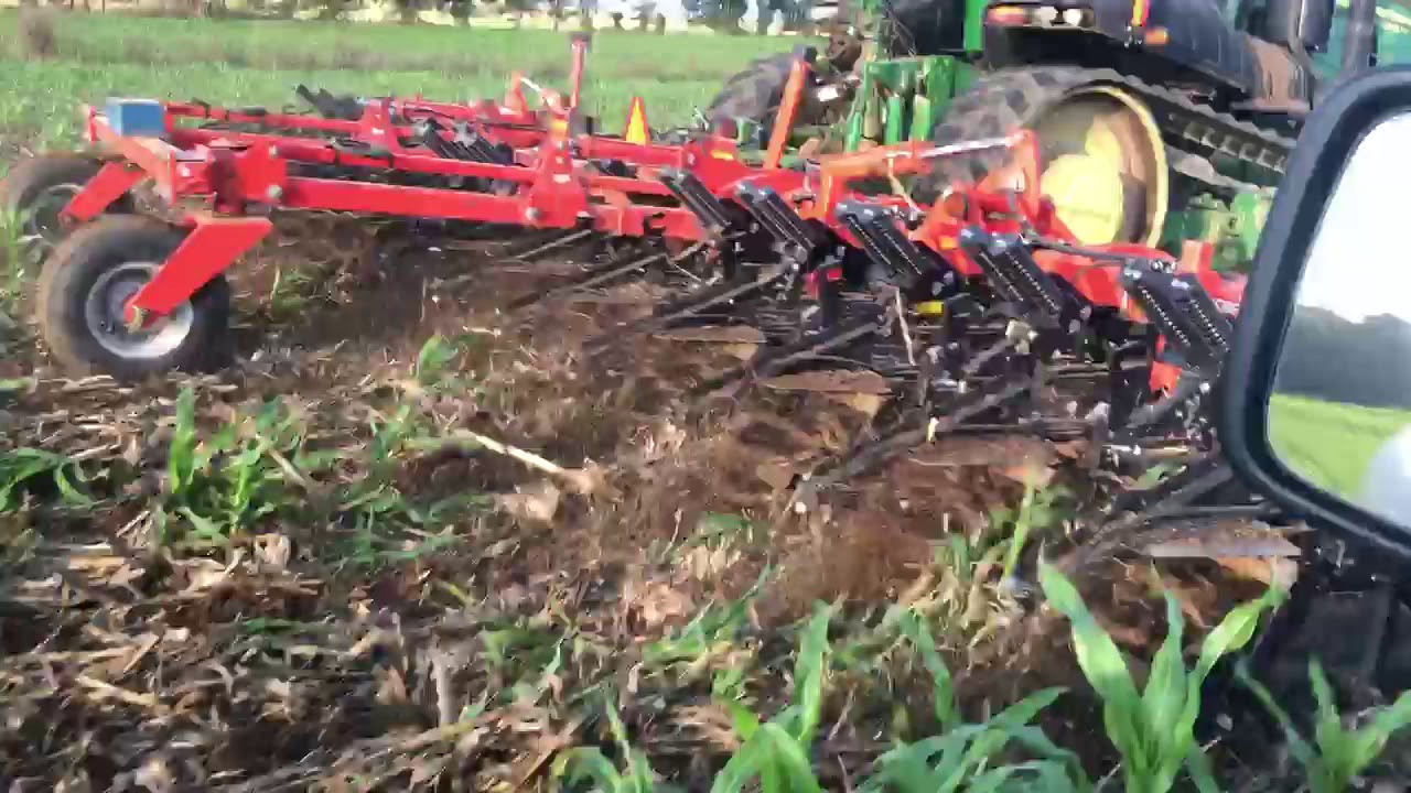 Gladitor Strip Till Row Cleaner