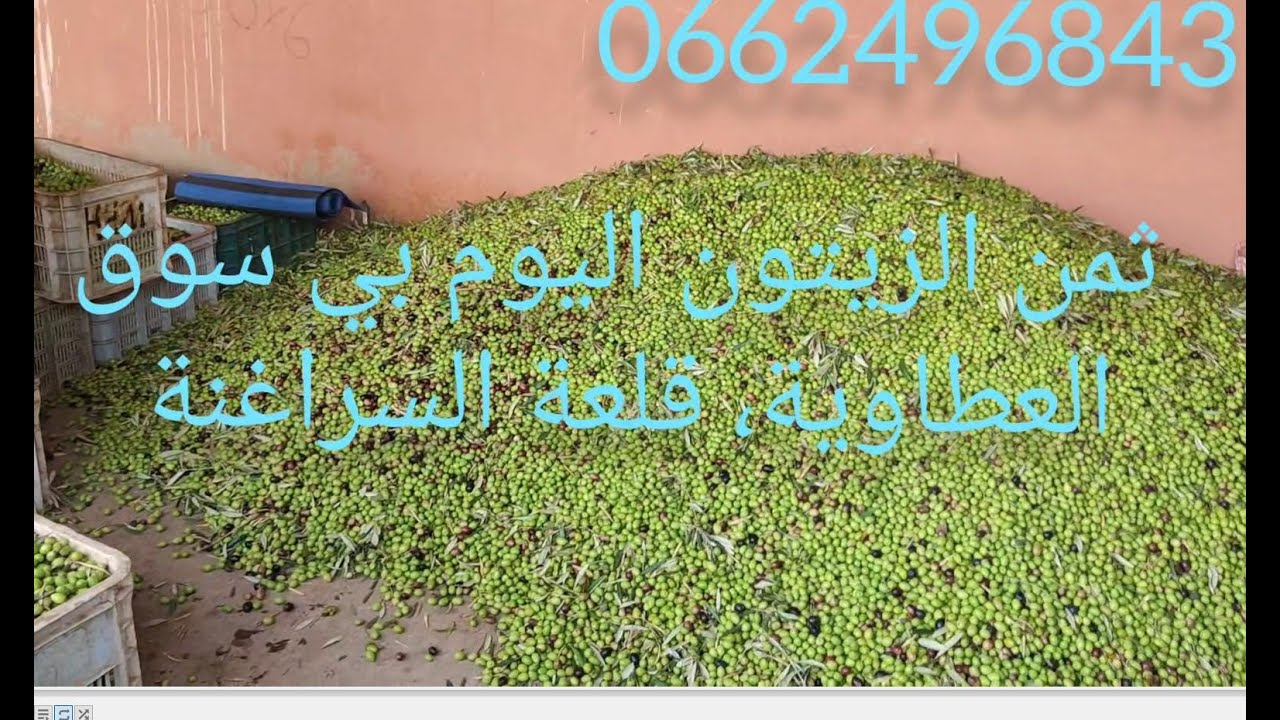 ثمن الزيت والزيتون العطاويه قلعه السراغنه