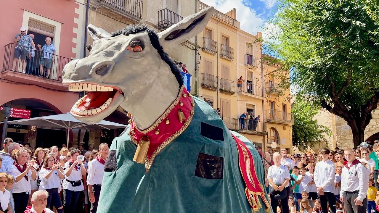 La gran pel·lícula - SEGUICI POPULAR a la Plaça Major de Montblanc (Festa Major de Montblanc 2024)