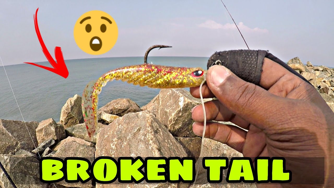 വാൽ മുറിഞ്ഞാൽ മീൻ കടിക്കുമോ 💥💁 || grouper fishing kerala || psycho angler ...