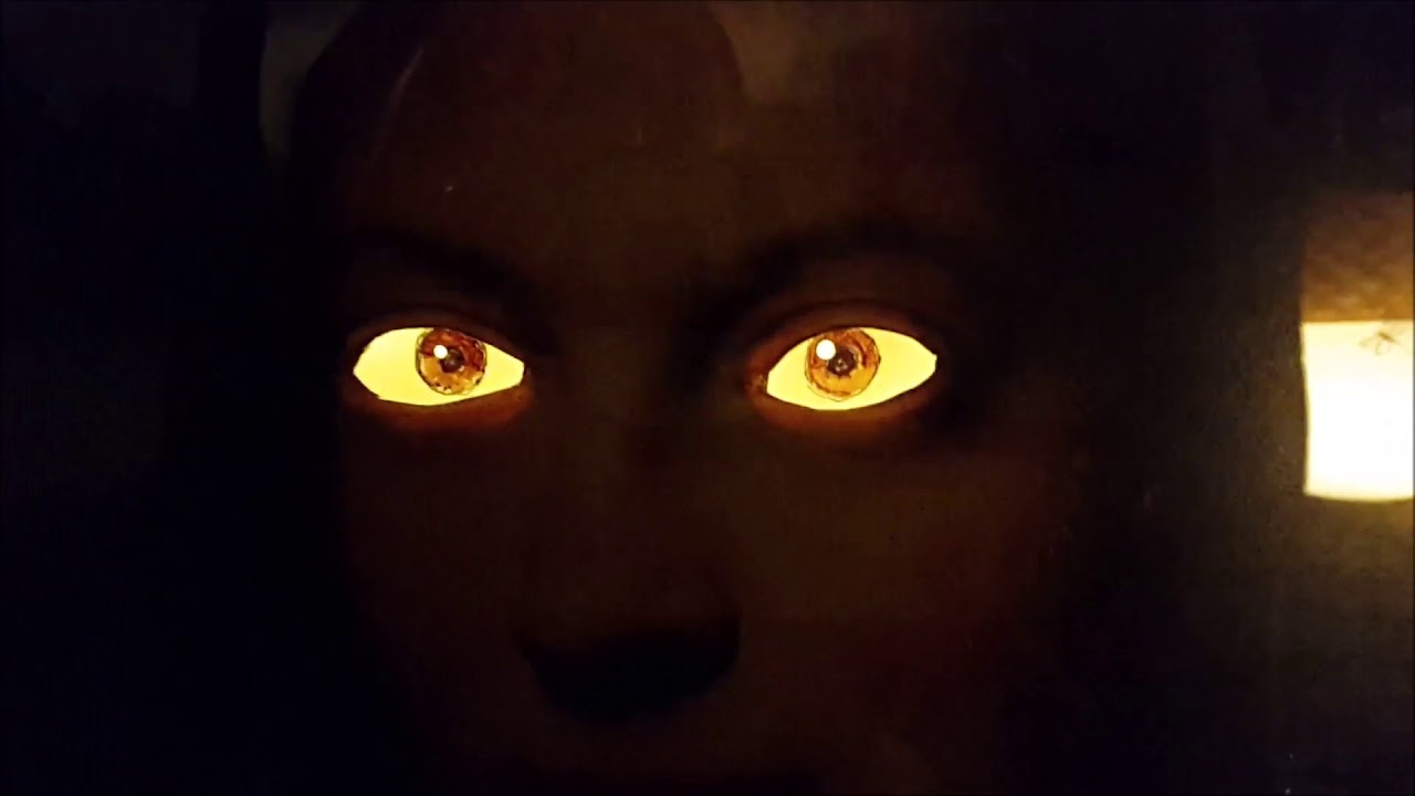 Moving eyes with soundtrack 2