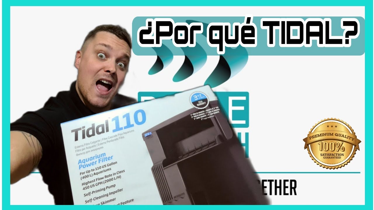 🔵 Review SEACHEM TIDAL // ¿ Mejor filtro de cascada? // TODO LO QUE NECESITAS SABER ANTES DE COMPRAR