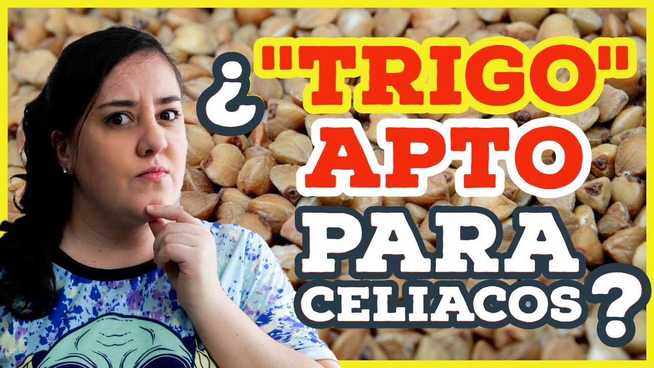 🔰 TRIGO SARRACENO: qué es, para qué sirve y cómo se cocina el alforfón