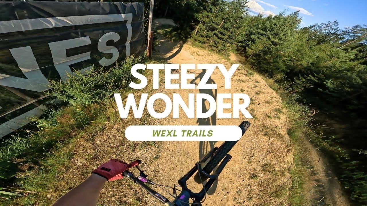 Steezy Wonder Jumpline Bikepark Wexl Trails Austria 🇦🇹 Trail Review Full Run POV RAW