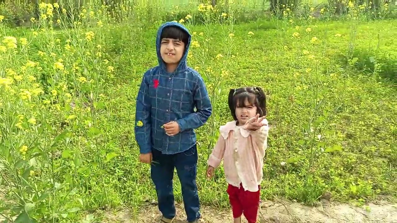 Aik din village me || گاؤں میں مزے || Pakistan village life @aliyankhaleeqvlogs