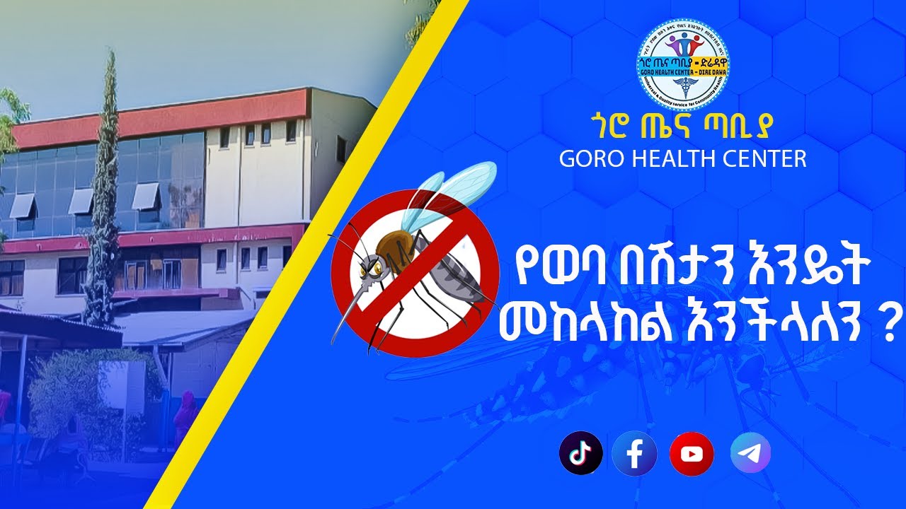 Malaria Health Education|የወባ በሽታን እንዴት መከላከል እንችላለን| Goro Health Center| ጎሮ ጤና ጣቢያ|