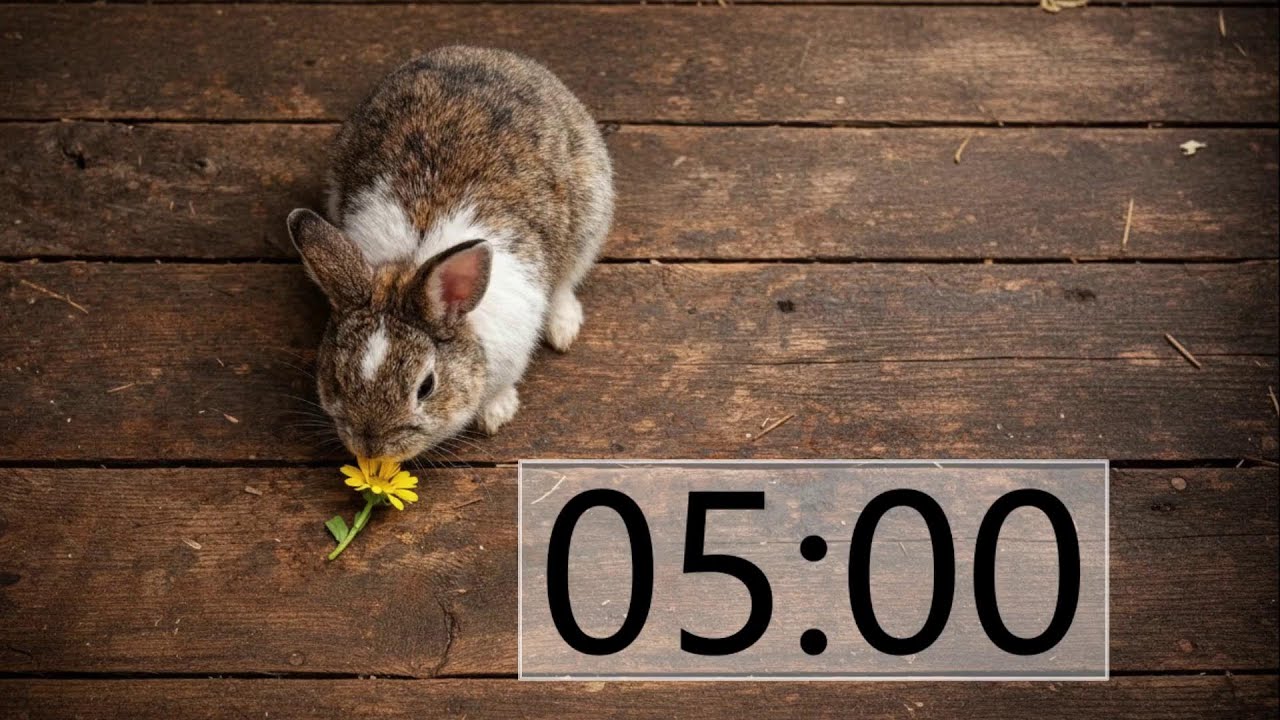 5 Minute Timer (INTENSE RABBIT MUSIC + Sound Notification at Zero) Flower Snack
