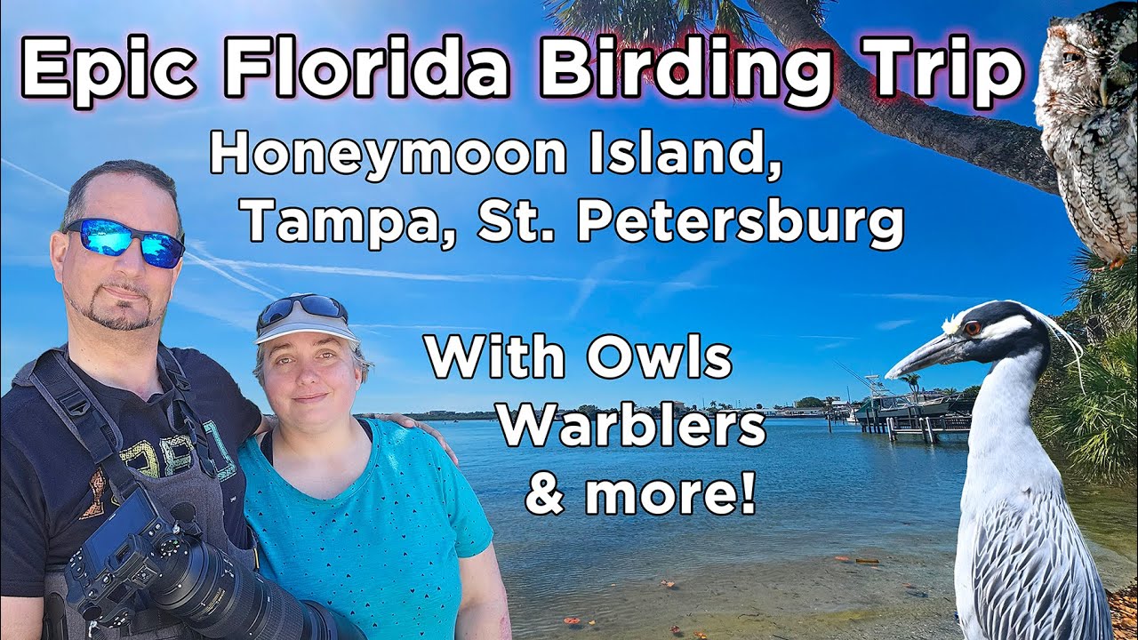 Epic Florida Birding Trip - Honeymoon Island, Tampa, St Petersburg with Owls, Warblers and more  Ep1