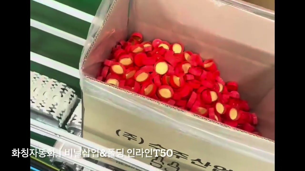 화창자동화ㅣ비닐삽입&폴딩 인라인 T50