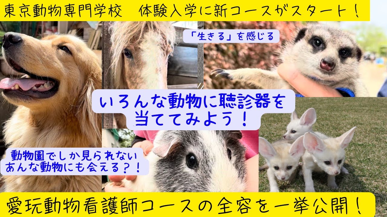 『まるで動物園のような動物専門学校！』　東京動物専門学校の体験入学に新しいコースができました〜