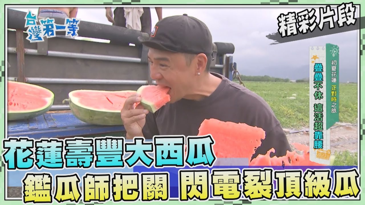 台灣第一等【花蓮壽豐大西瓜一天收成5000顆 鑑瓜師把關閃電裂頂級瓜】_505集精選版