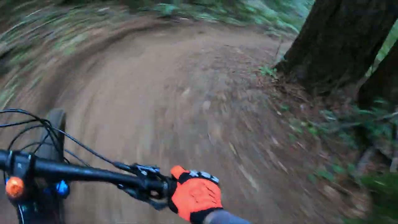 UCSC MTB Roller Coaster