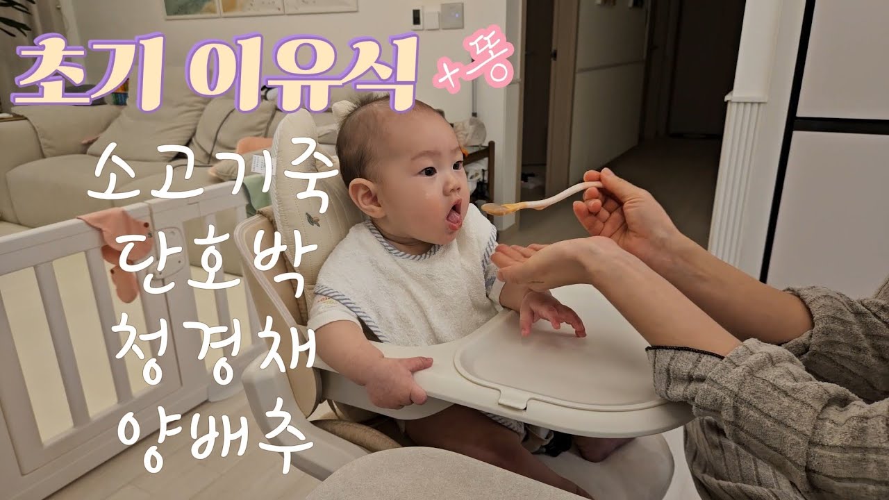 6개월 아기 초기 이유식 먹방 +똥(26.2.5. 195일)