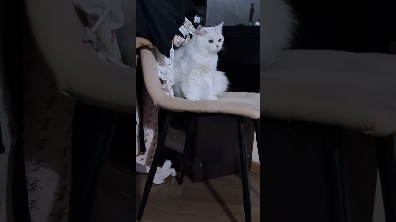 🤫🫡как мне лучше ⁉️🤷‍♂️