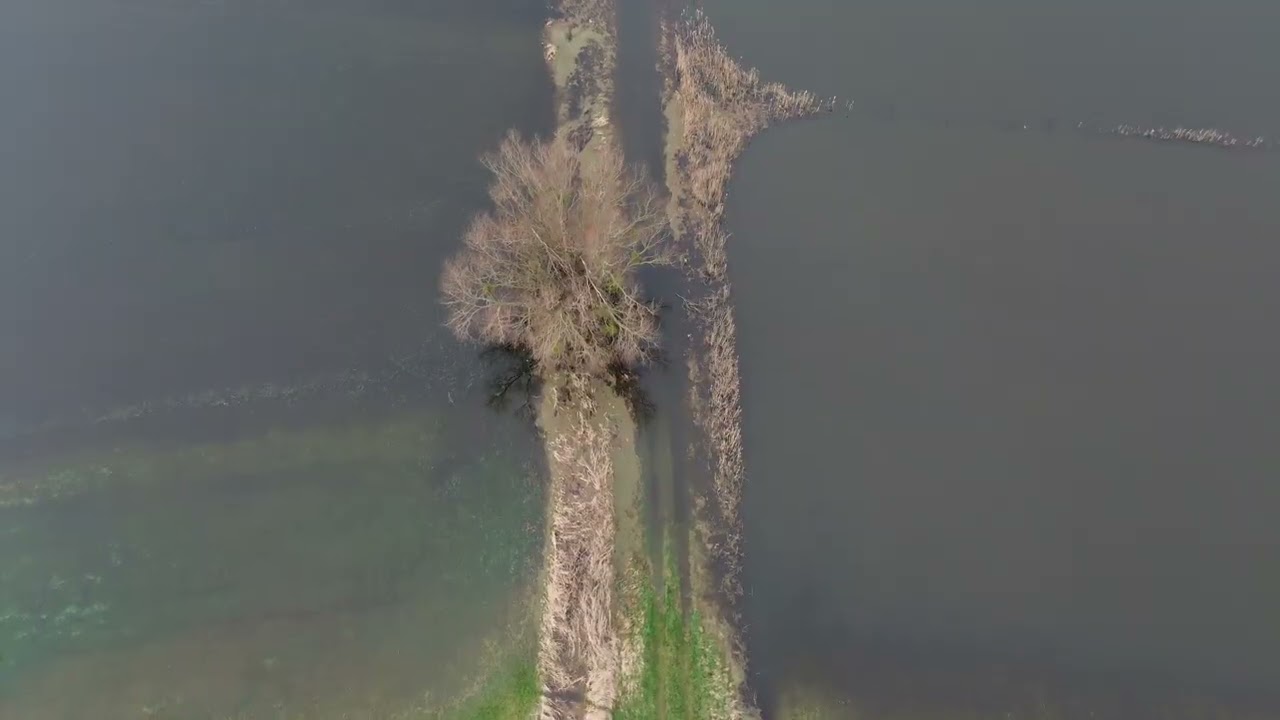 Marais Carentan février 2026