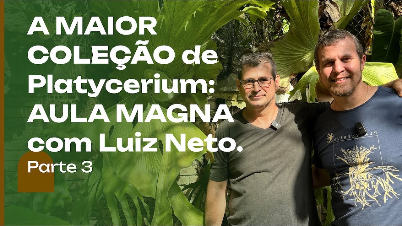A INCRÍVEL COLEÇÃO de PLANTAS e AULA MAGNA do Luiz Neto: de Araceae a Platycerium. Parte 3.