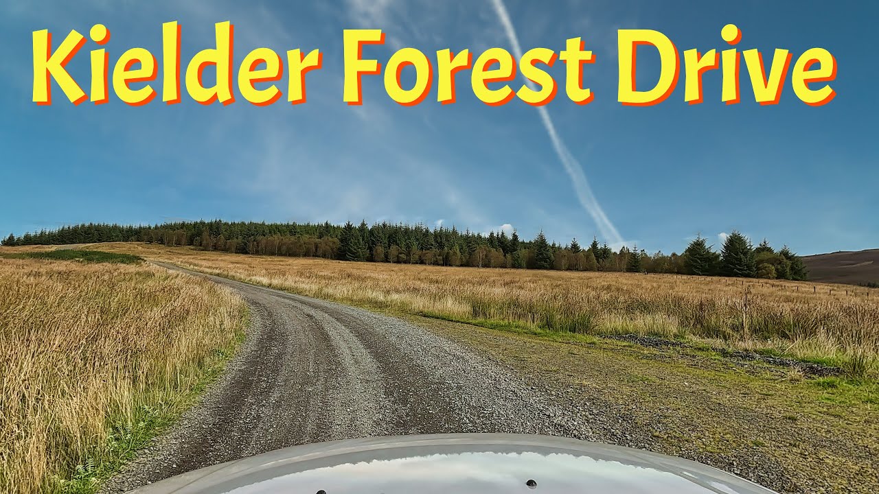 Kielder Forest Drive